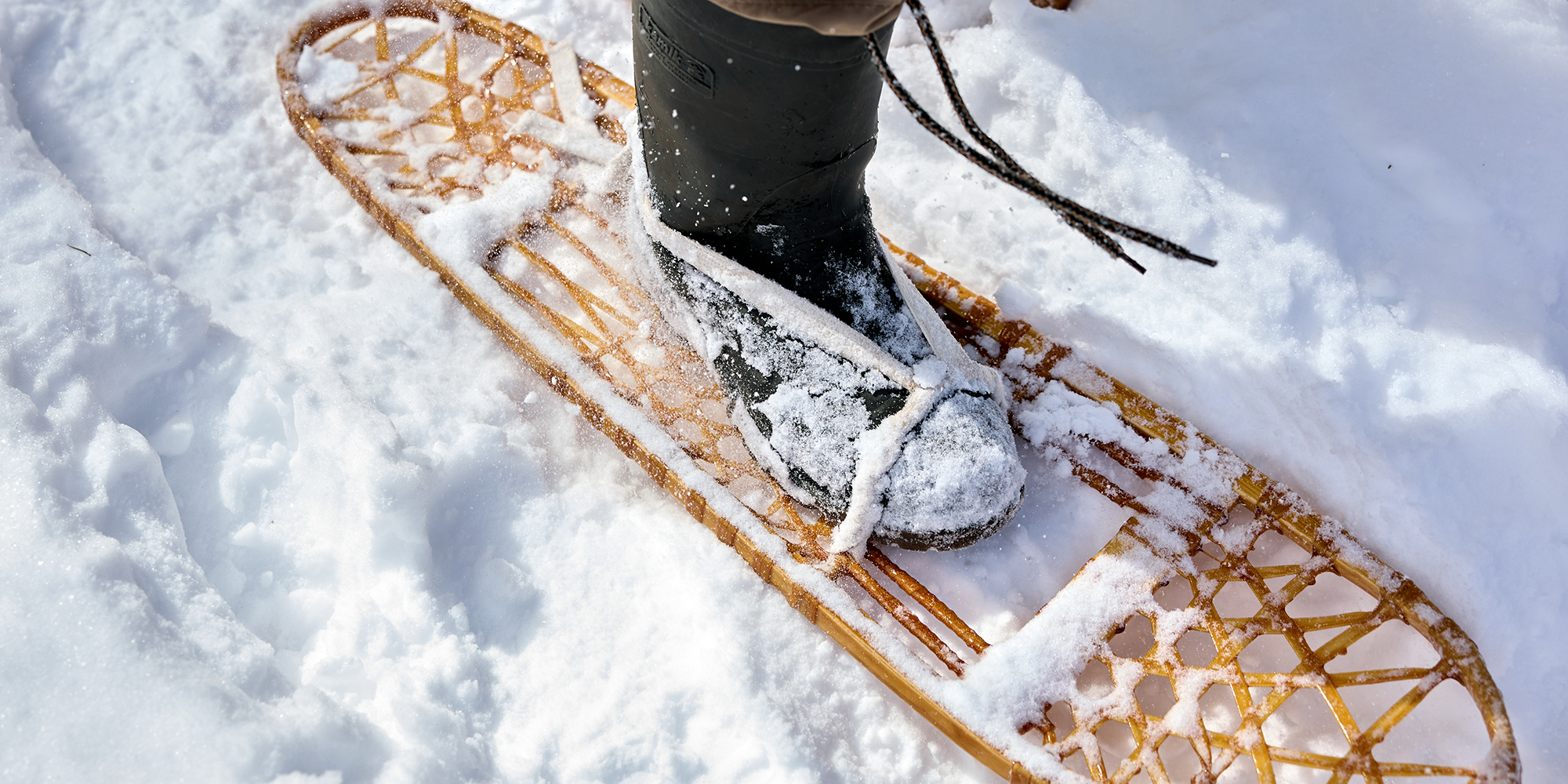 What Are the Best Snowshoes