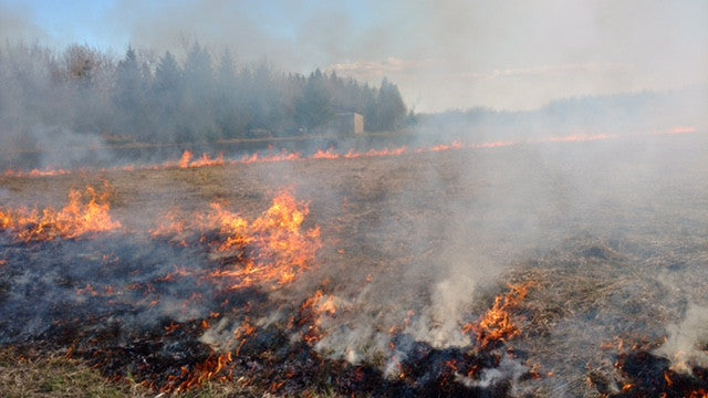 YOU GOT A LITTLE FIRE BUG IN YOU?