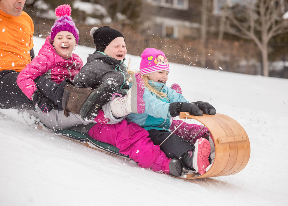 What's the difference between a sled and a toboggan?