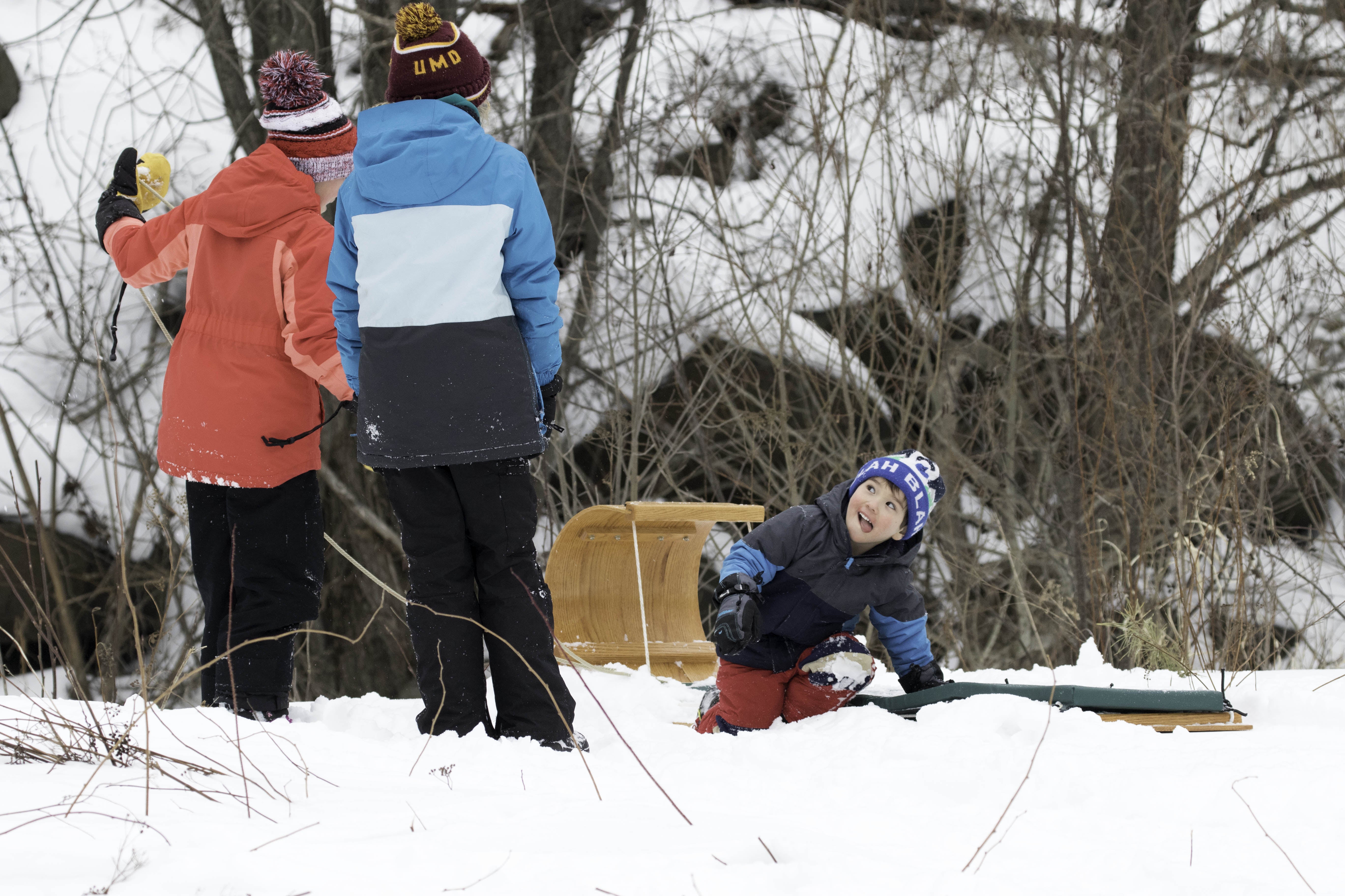 Looking Forward: The Toboggan Revival Part 2 - Downhill Sledding