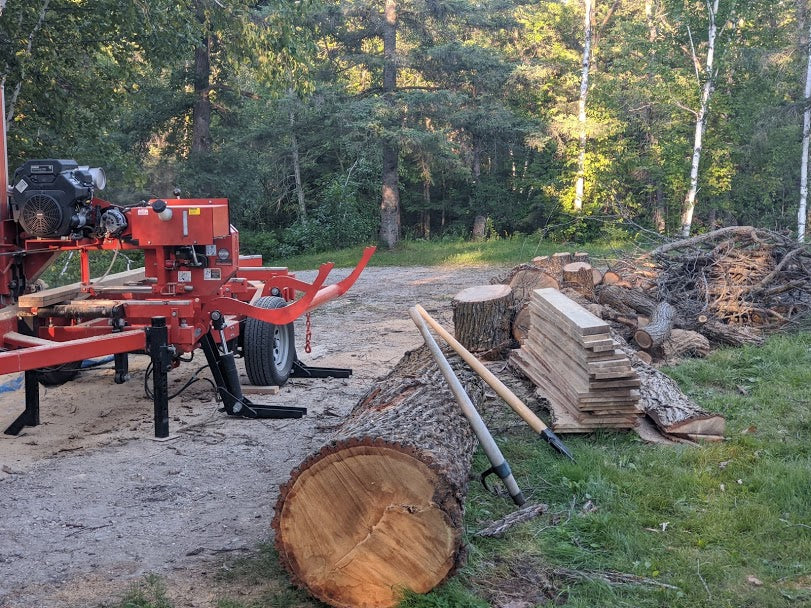 To the Old Oak Tree
