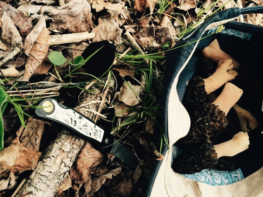 "Shrooming" Part I