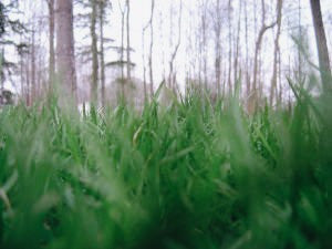 GREEN MANUFACTURING