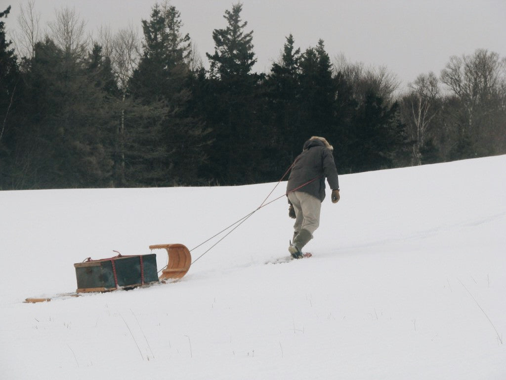 A Snow Walker's Companion