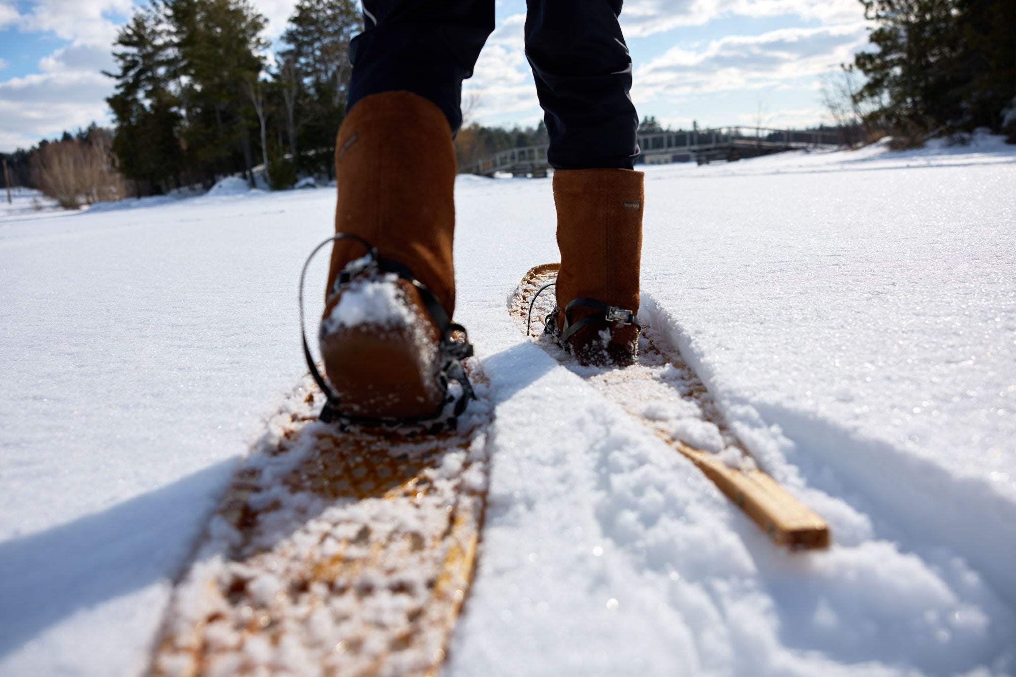 Snowshoe Bindings